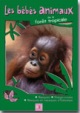 Collection bébé animaux